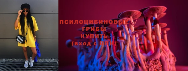 ГАЛЛЮЦИНОГЕННЫЕ ГРИБЫ Армянск